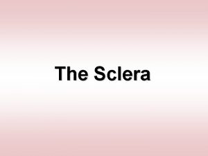 The Sclera Sclera Also known as the white