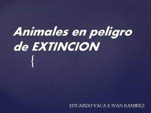 Animales en peligro de EXTINCION EDUARDO VACA E