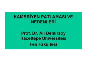 KAMBRYEN PATLAMASI VE NEDENLER Prof Dr Ali Demirsoy