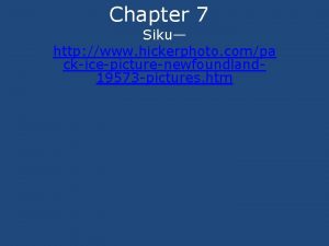 Chapter 7 Siku http www hickerphoto compa ckicepicturenewfoundland