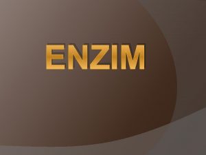 ENZIM ENZIM Enzim Suatu biomolekul Protein yang kerjanya