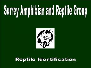 Reptile Identification for NARRS Although most NARRS volunteers