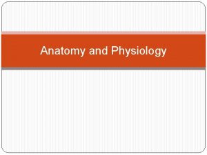 Anatomy and Physiology Anatomy and Physiology Turn to