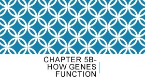 CHAPTER 5 BHOW GENES FUNCTION REMEMBER What is