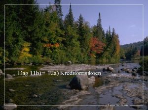 Dag 11 b 12 a Kreditorrisikoen Lasse Simonsen