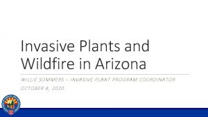 Invasive Plants and Wildfire in Arizona WILLIE SOMMERS