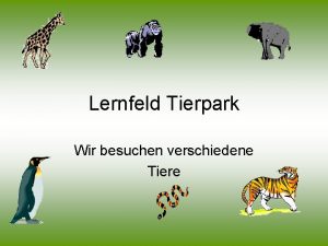 Lernfeld Tierpark Wir besuchen verschiedene Tiere Die Vorschulkinder
