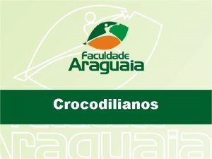 Crocodilianos Crocodilianos O nome Crocodylia derivado do grego