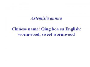 Artemisia annua Chinese name Qing hoa su English