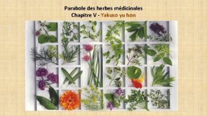 Parabole des herbes mdicinales Chapitre V Yakuso yu