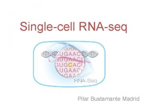 Singlecell RNAseq Pilar Bustamante Madrid Index Introduction Methodology