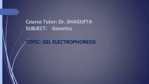 Course Tutor Dr SHAGUFTA SUBJECT Genetics TOPIC GEL