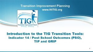 Transition Improvement Planning www Wi TIG org Introduction