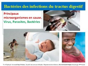 Bactries des infections du tractus digestif Principaux microorganismes