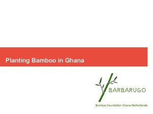 Planting Bamboo in Ghana Mission statement Relieve poverty