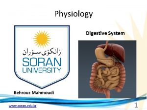 Physiology Digestive System Behrouz Mahmoudi www soran edu