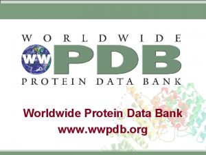 Worldwide Protein Data Bank www wwpdb org Worldwide