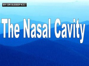 BY DR SUDEEP K C The Nasal Cavity