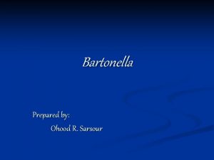 Bartonella Prepared by Ohood R Sarsour Introduction n