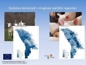 Statistica teritorial imaginea realitii regiunilor This project is