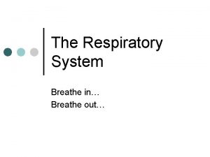 The Respiratory System Breathe in Breathe out Respiration