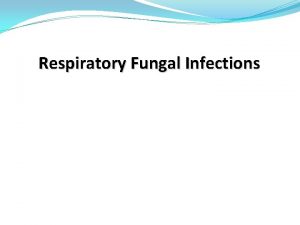 Respiratory Fungal Infections Respiratory fungal infections Respiratory System