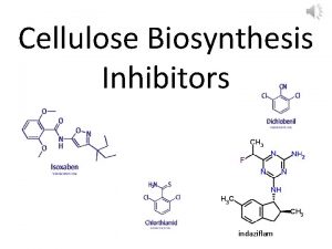 Cellulose Biosynthesis Inhibitors indaziflam Dichlobenil discovered in 1950s