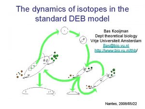 The dynamics of isotopes in the standard DEB