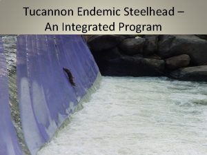 Tucannon Endemic Steelhead An Integrated Program picture Background