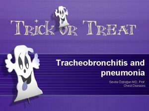 Tracheobronchitis and pneumonia Sevda zdoan MD Prof Chest