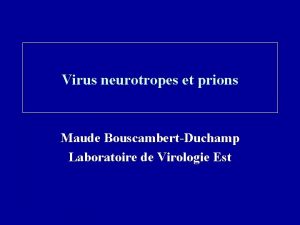 Virus neurotropes et prions Maude BouscambertDuchamp Laboratoire de