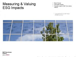 Measuring Valuing ESG Impacts Brian Werner Associate Director