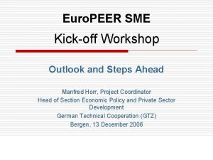 Euro PEER SME Kickoff Workshop Outlook and Steps