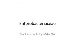 Enterobacteriaceae Slackers Facts by Mike Ori Disclaimer The