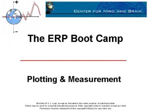 The ERP Boot Camp Plotting Measurement All slides