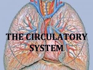 THE CIRCULATORY SYSTEM Circulatory System Functions Transportation of