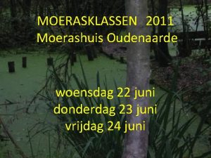 MOERASKLASSEN 2011 Moerashuis Oudenaarde woensdag 22 juni donderdag