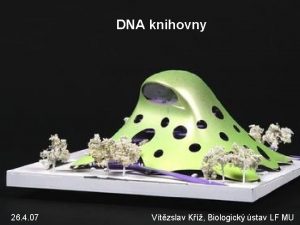 DNA knihovny 26 4 07 Vtzslav K Biologick