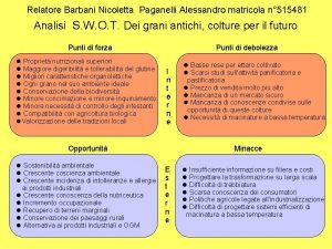 Relatore Barbani Nicoletta Paganelli Alessandro matricola n 515481