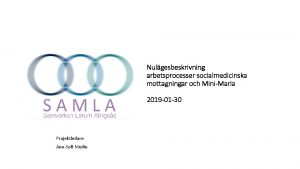 Nulgesbeskrivning arbetsprocesser socialmedicinska mottagningar och MiniMaria 2019 01