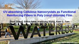 UVabsorbing Cellulose Nanocrystals as Functional Reinforcing Fillers in