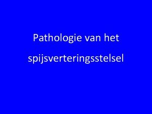 Pathologie van het spijsverteringsstelsel Patinten Casus 1 Boxer