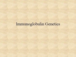 Immunoglobulin Genetics Problemthe immune system makes over one