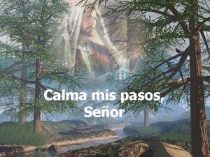 Calma mis pasos Seor DESACELERA los latidos de