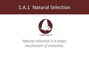 1 A 1 Natural Selection Natural selection is