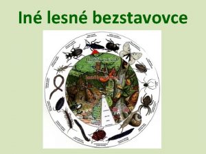 In lesn bezstavovce kriiak obyajn lnkonoce pavkovce uiton