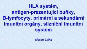 HLA systm antigenprezentujc buky Blymfocyty primrn a sekundrn