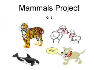 Mammals Project Gr 3 Woof You have learned