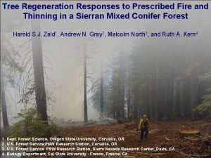 Tree Regeneration Responses to Prescribed Fire and Thinning