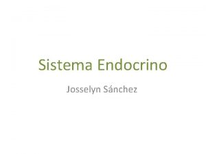 Sistema Endocrino Josselyn Snchez Hipotlamo Hipfisis G paratiroides